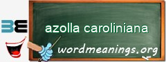 WordMeaning blackboard for azolla caroliniana